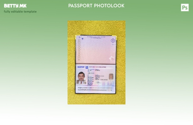 модерен стил Сингапурски нов пасош (+) шаблон за изглед на фотографија